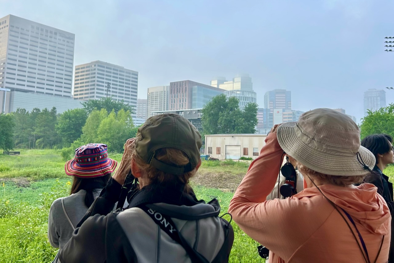 Tracking nature in Houston, one bird at a time
